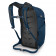 Рюкзак Osprey Daylite Plus