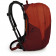 Рюкзак Osprey Radial