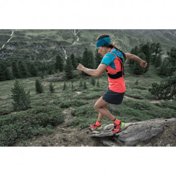 Носки Dynafit Alpine Short